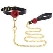 Wild Roses Collar & Leash