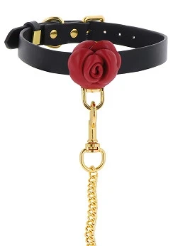 Wild Roses Collar & Leash