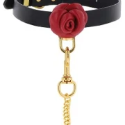 Wild Roses Collar & Leash