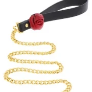 Wild Roses Collar & Leash