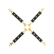 Wild Roses Hogtie