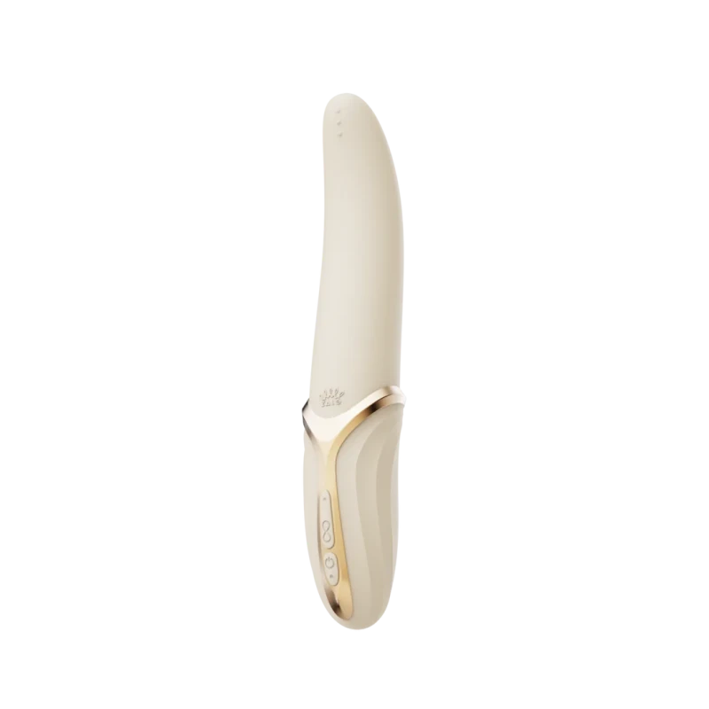 EVE HEIZ LECKVIBRATOR