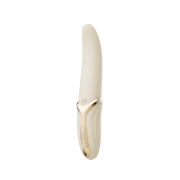 EVE HEIZ LECKVIBRATOR