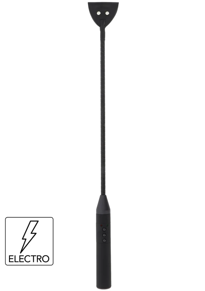 Electro Riding Crop