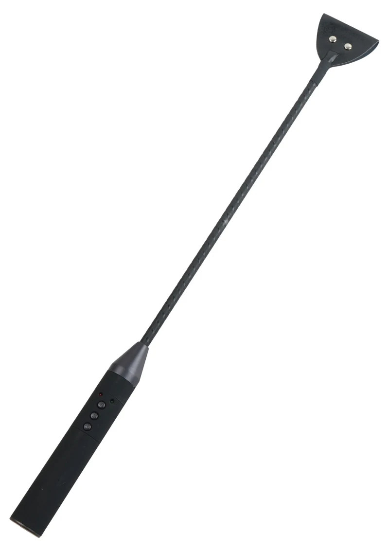 Electro Riding Crop