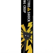 Electro Riding Crop