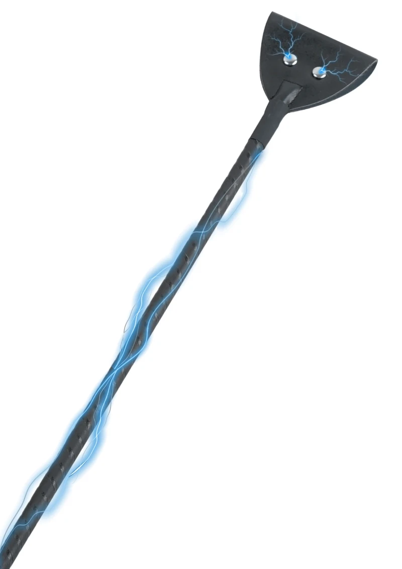 Electro Riding Crop