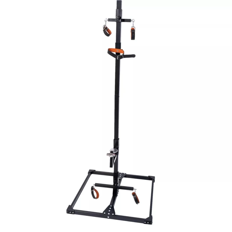 MIETEN Basic V Pranger + Sex-Maschine