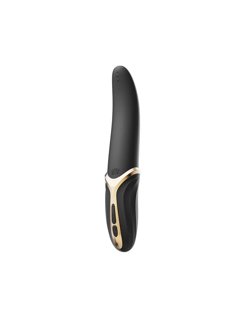 EVE HEIZ LECKVIBRATOR